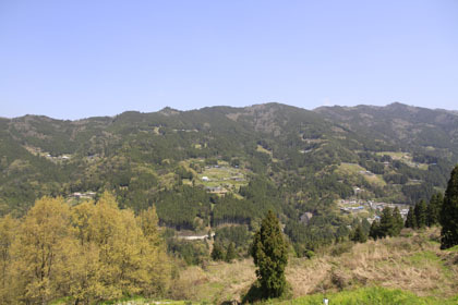 高知県東部の山の中の道
