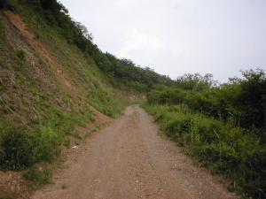 高千穂から南郷村鬼神野へ