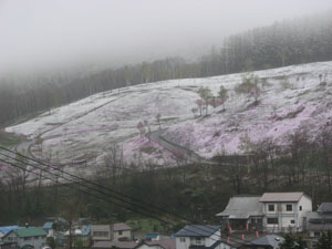 5月の季節外れの降雪