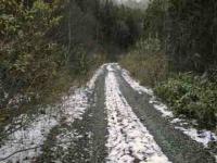 雪の田代山林道