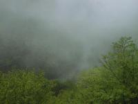 雨の高知