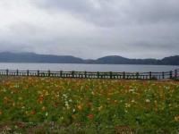 土砂降りの鹿児島