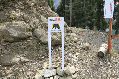 高知県東部の山の中の道