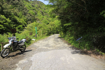 高知県東部の山の中の道