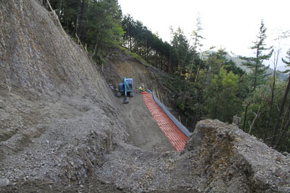 室戸岬の北部の山道