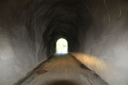 室戸岬の北部の山道