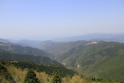 室戸岬の北部の山道