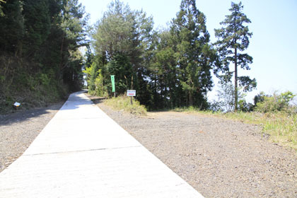 室戸岬の北部の山道