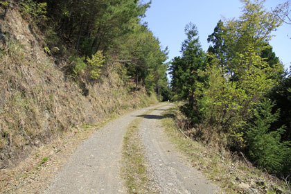 室戸岬の北部の山道