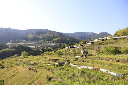 剣山スーパー林道