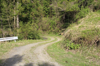 西土佐の山道