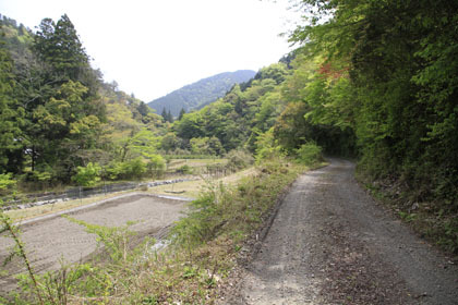 西土佐の山道