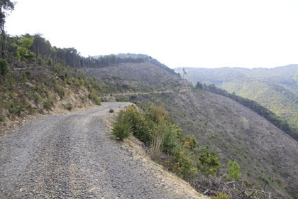 西土佐の山道