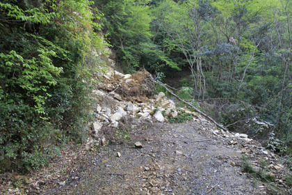 西土佐の山道