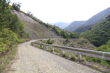 大分から宮崎の山道