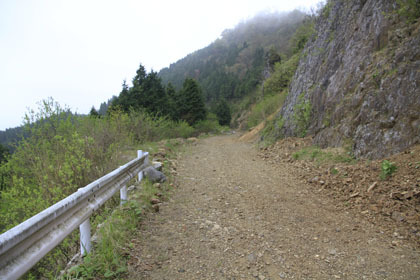 椎葉村の林道