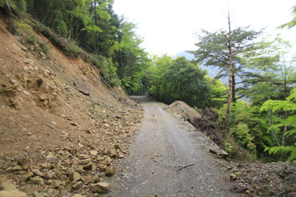 湯前町と上村の林道