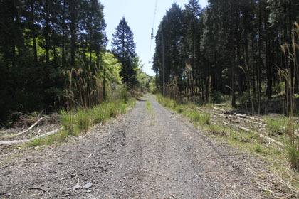 人吉市とえびの市の林道