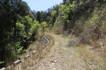 人吉市とえびの市の林道