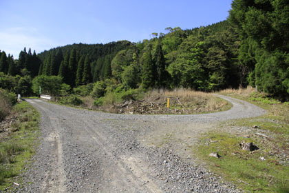 人吉市とえびの市の林道