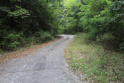 旧大口市と人吉市の林道