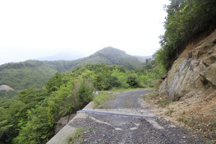 大隅半島の林道