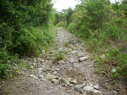 大隅半島の南端の道