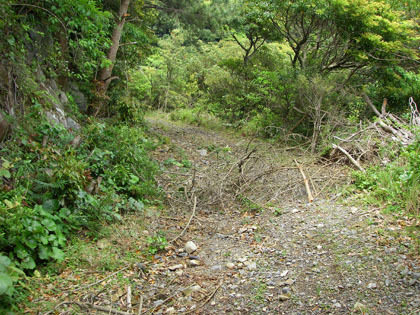 大隅半島の南端の道