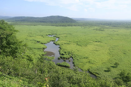 釧路湿原の風景