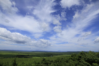 釧路湿原の風景