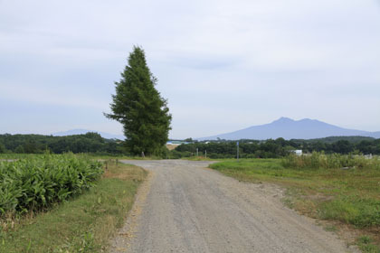 屈斜路湖の北側の道